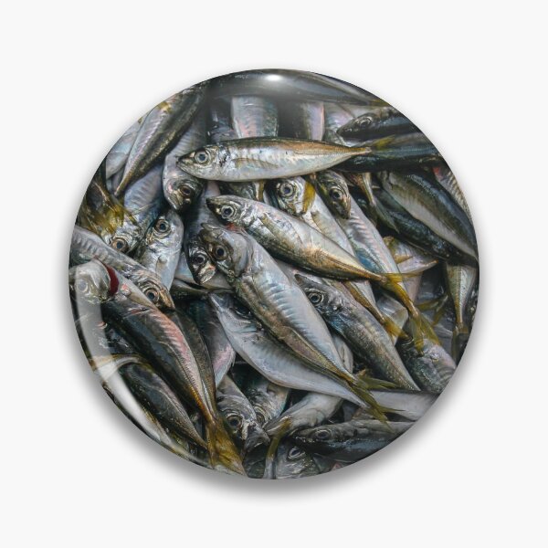 Item preview, Fresh sardines as background designed and sold by Photopat.