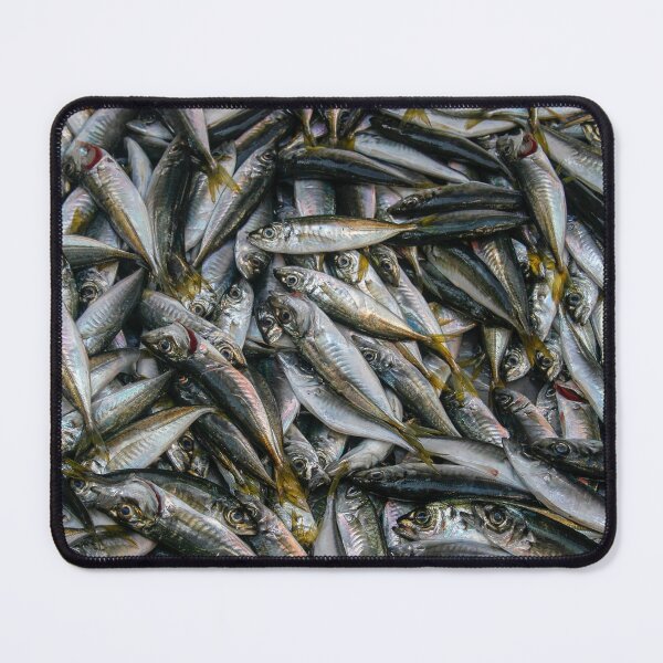 Item preview, Fresh sardines as background designed and sold by Photopat.