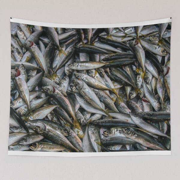 Item preview, Fresh sardines as background designed and sold by Photopat.