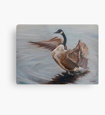 Goose On the pond Metal Print