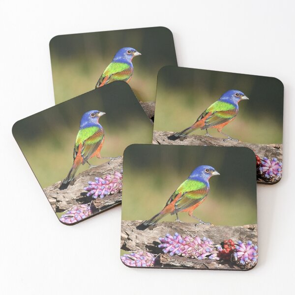 Item preview, Painted Bunting Bird Male designed and sold by candiscamera.