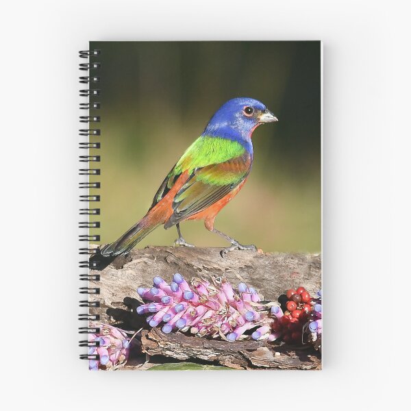Item preview, Painted Bunting Bird Male designed and sold by candiscamera.