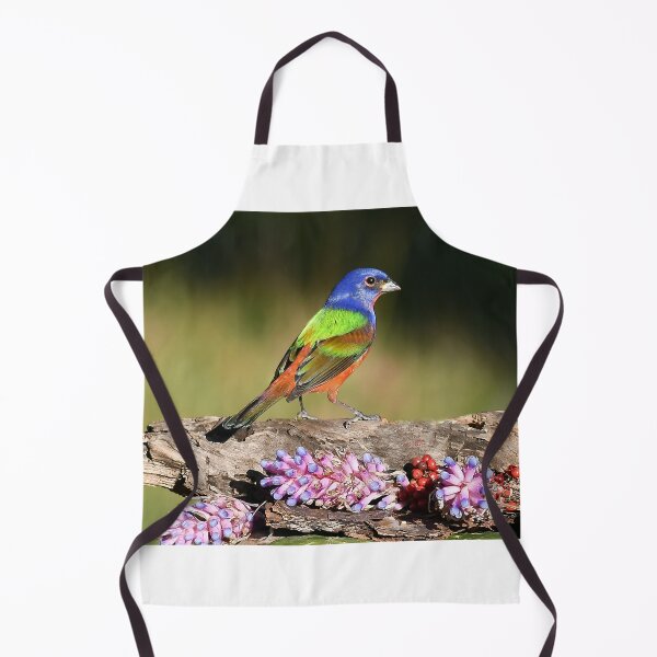 Item preview, Painted Bunting Bird Male designed and sold by candiscamera.