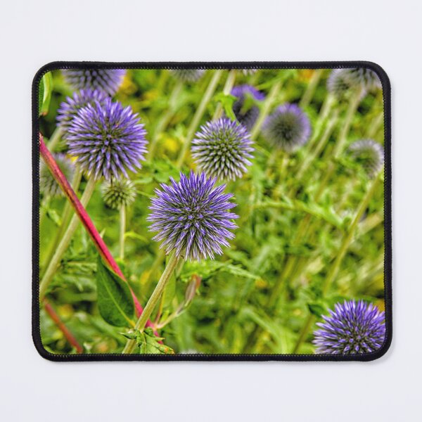 Item preview, Blue thistles designed and sold by Photopat.
