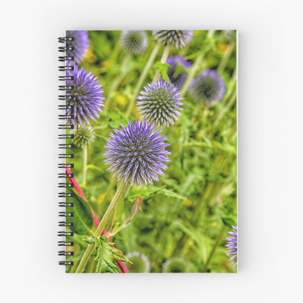 Item preview, Blue thistles designed and sold by Photopat.