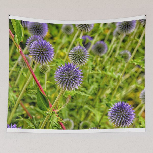 Item preview, Blue thistles designed and sold by Photopat.