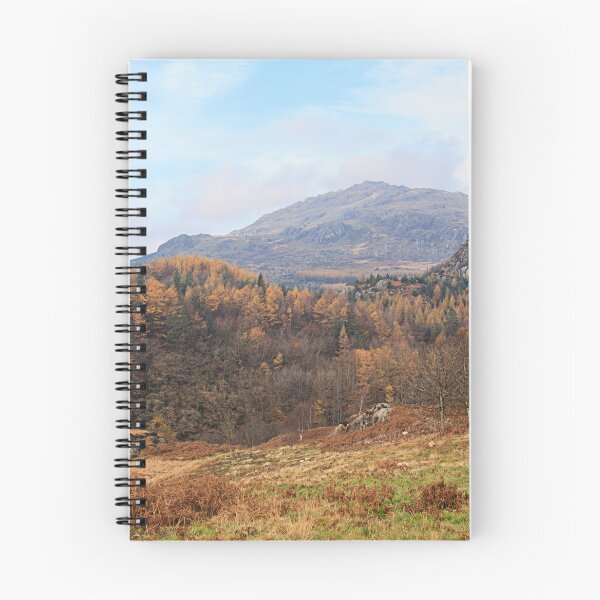 Item preview, Harter Fell designed and sold by maureen bracewell.