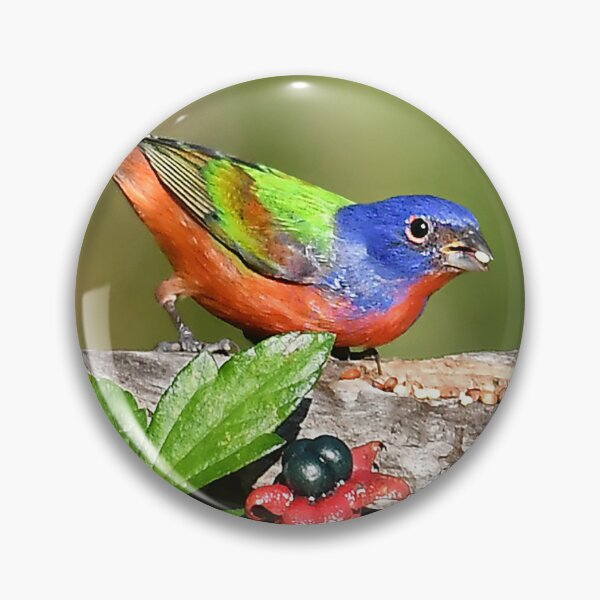 Item preview, Painted Bunting Male Bird  designed and sold by candiscamera.
