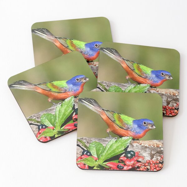 Item preview, Painted Bunting Male Bird  designed and sold by candiscamera.