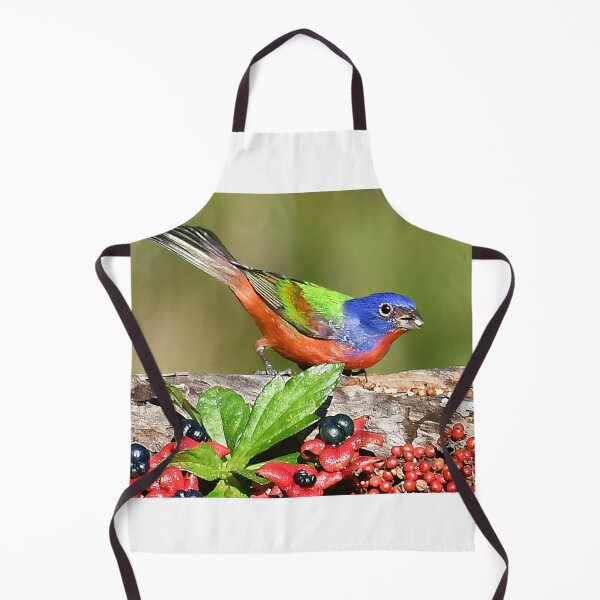 Item preview, Painted Bunting Male Bird designed and sold by candiscamera.