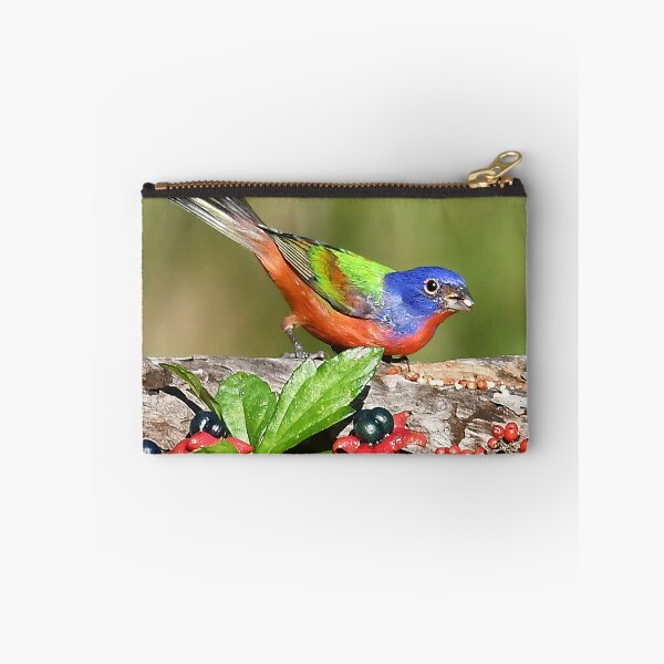 Item preview, Painted Bunting Male Bird  designed and sold by candiscamera.