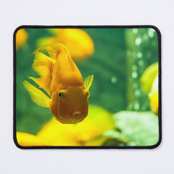 Item preview, Fishy, fishy, fishy... fish designed and sold by Stuff'n'stuff.