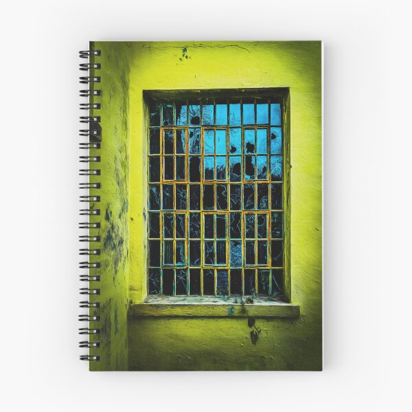 Item preview, Pane Management designed and sold by Steve Walser.