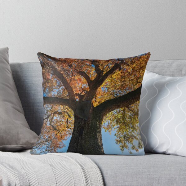 Secular oak tree in autumn. Tuscany, Italy. Throw Pillow