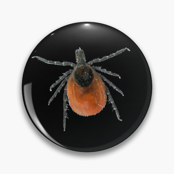 Item preview, Tick designed and sold by Insectland.