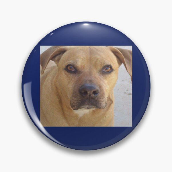 Item preview, Rhodesia Ridgeback mix bull    designed and sold by logeticTreasure.