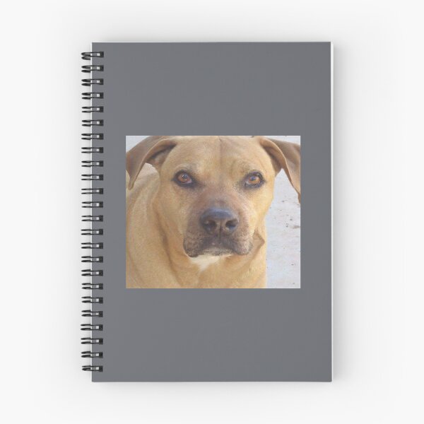 Item preview, Rhodesia Ridgeback mix bull    designed and sold by logeticTreasure.