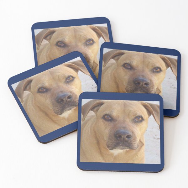 Item preview, Rhodesia Ridgeback mix bull    designed and sold by logeticTreasure.