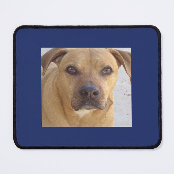 Item preview, Rhodesia Ridgeback mix bull designed and sold by logeticTreasure.