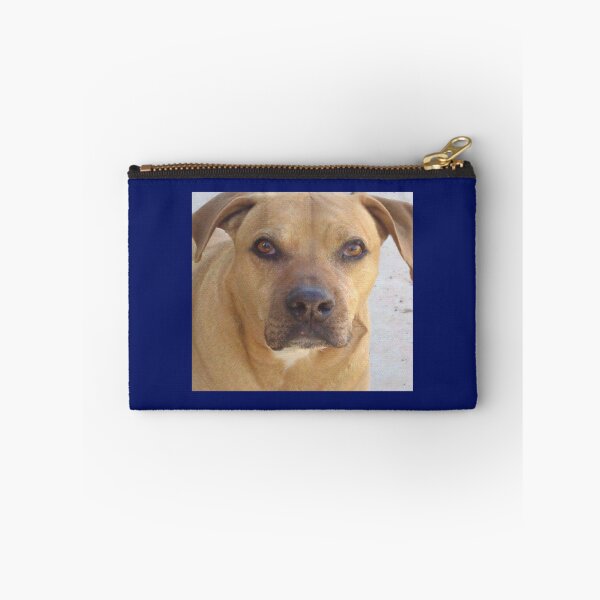 Item preview, Rhodesia Ridgeback mix bull    designed and sold by logeticTreasure.