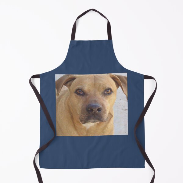 Item preview, Rhodesia Ridgeback mix bull designed and sold by logeticTreasure.
