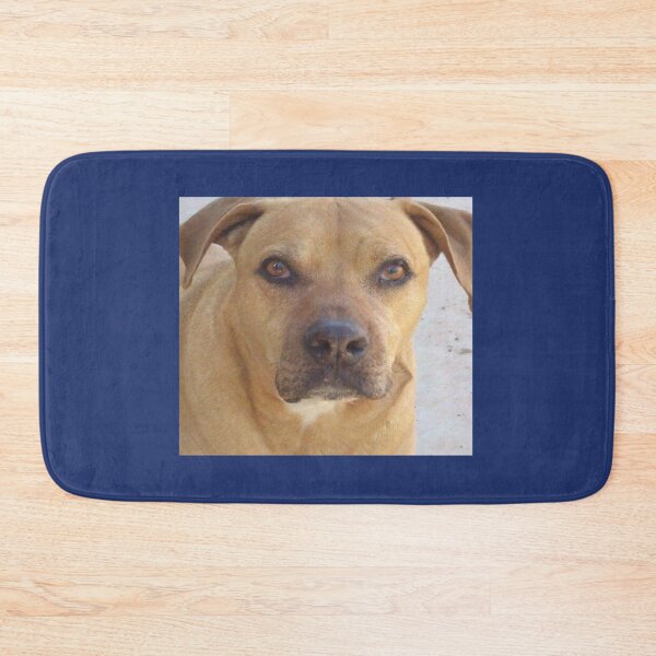 Item preview, Rhodesia Ridgeback mix bull    designed and sold by logeticTreasure.