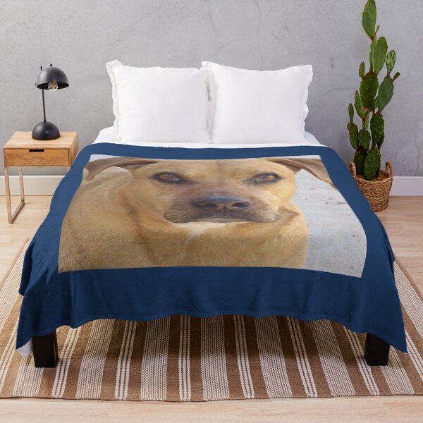 Item preview, Rhodesia Ridgeback mix bull    designed and sold by logeticTreasure.