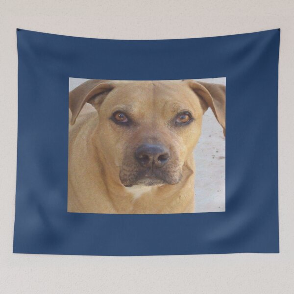 Item preview, Rhodesia Ridgeback mix bull    designed and sold by logeticTreasure.