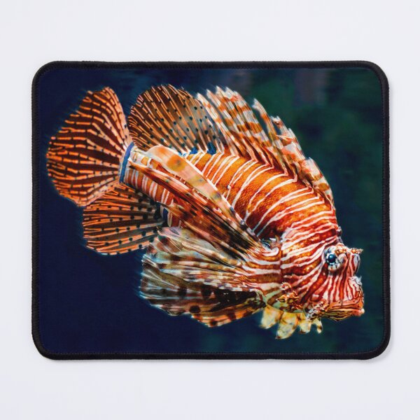 Item preview, Tropical Fish designed and sold by ramazis.