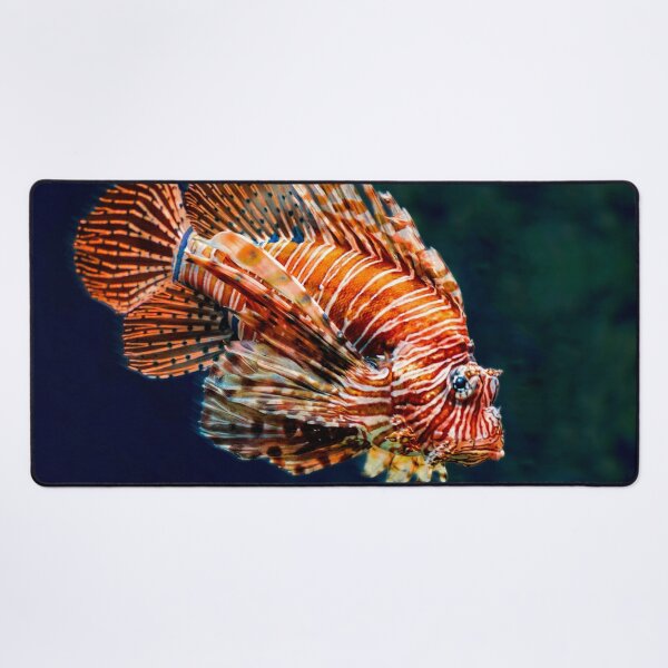 Item preview, Tropical Fish designed and sold by ramazis.
