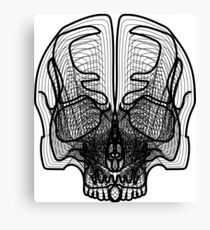 skull Canvas Print