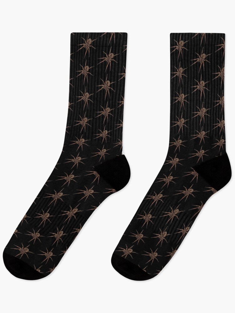 Thumbnail 1 of 5, Socks, Spider designed and sold by Insectland.