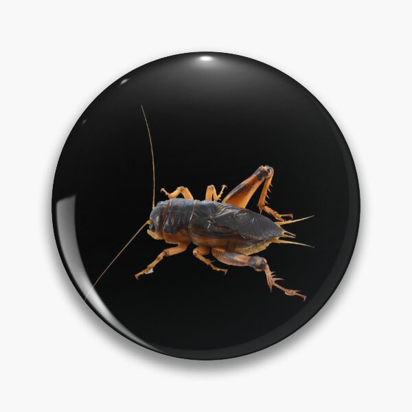 Item preview, Cricket designed and sold by Insectland.
