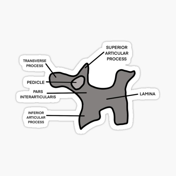 Item preview, Scotty Dog Labeled designed and sold by RadTechRiegel.