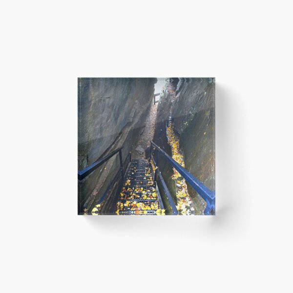 Item preview, Heading Down Into Devils Kitchen Ceasras Head State Park South Carolina  designed and sold by LisaWootenPhoto.
