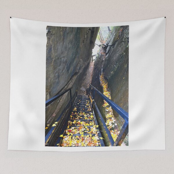 Item preview, Heading Down Into Devils Kitchen Ceasras Head State Park South Carolina  designed and sold by LisaWootenPhoto.