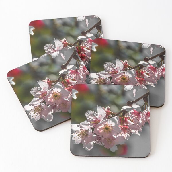 Item preview, Cherry Blossom. designed and sold by Nino rocha fotografia.