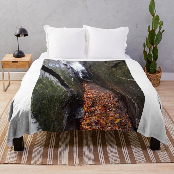 Item preview, Devils Kitchen Ceasar's Head State Park South Carolina designed and sold by LisaWootenPhoto.