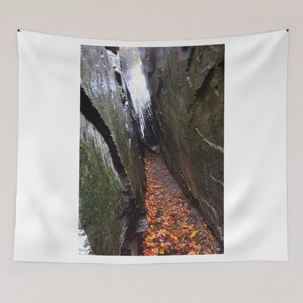 Item preview, Devils Kitchen Ceasar's Head State Park South Carolina designed and sold by LisaWootenPhoto.