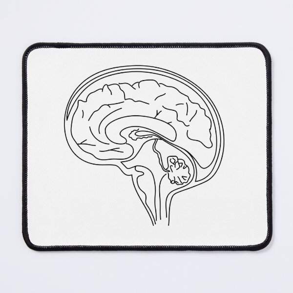 Item preview, brain designed and sold by dreamtravel.