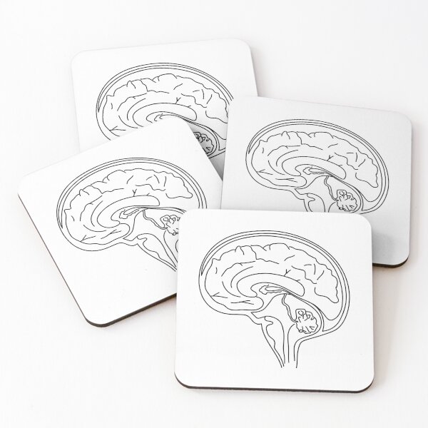 Item preview, brain designed and sold by dreamtravel.