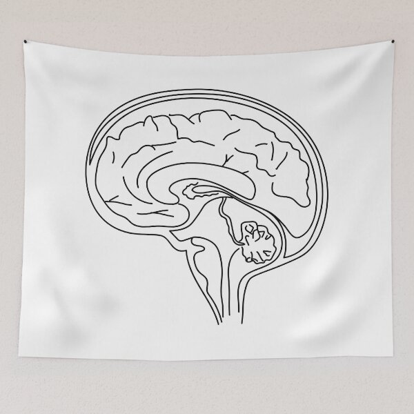 Item preview, brain designed and sold by dreamtravel.