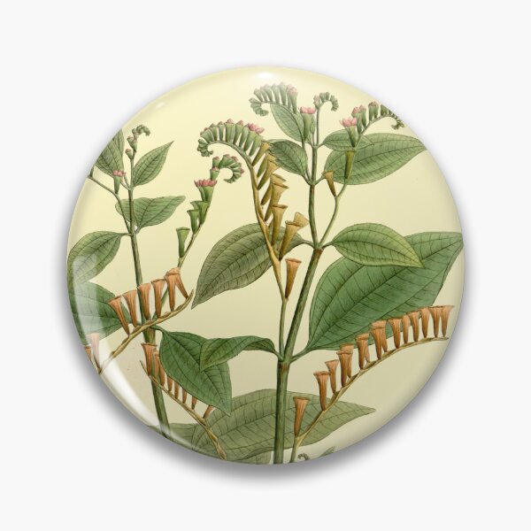 Item preview, Vintage Botanical Poster - Salpinga secunda, 1815.  designed and sold by BotanicalVibes.