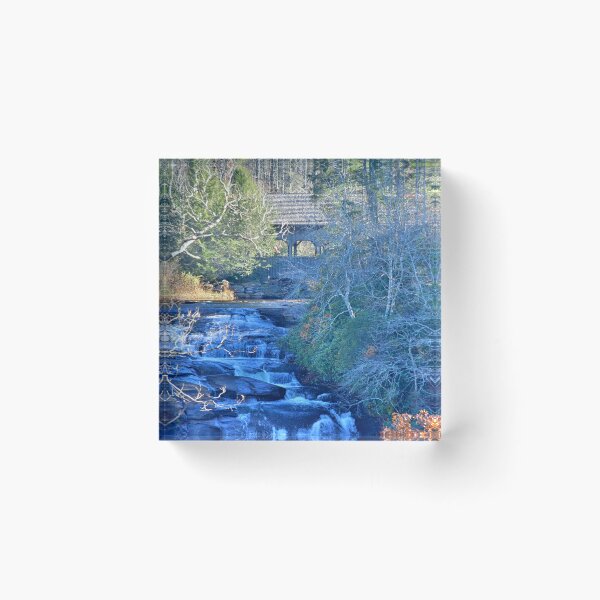 Item preview, High Falls And Covered Bridge Dupont State Forest South Carolina designed and sold by LisaWootenPhoto.