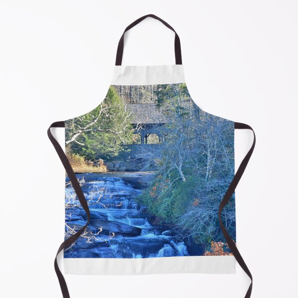 Item preview, High Falls And Covered Bridge Dupont State Forest South Carolina designed and sold by LisaWootenPhoto.