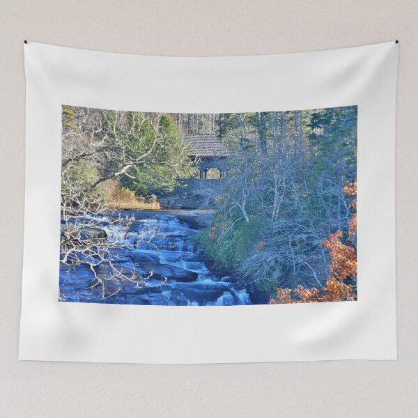 Item preview, High Falls And Covered Bridge Dupont State Forest South Carolina designed and sold by LisaWootenPhoto.