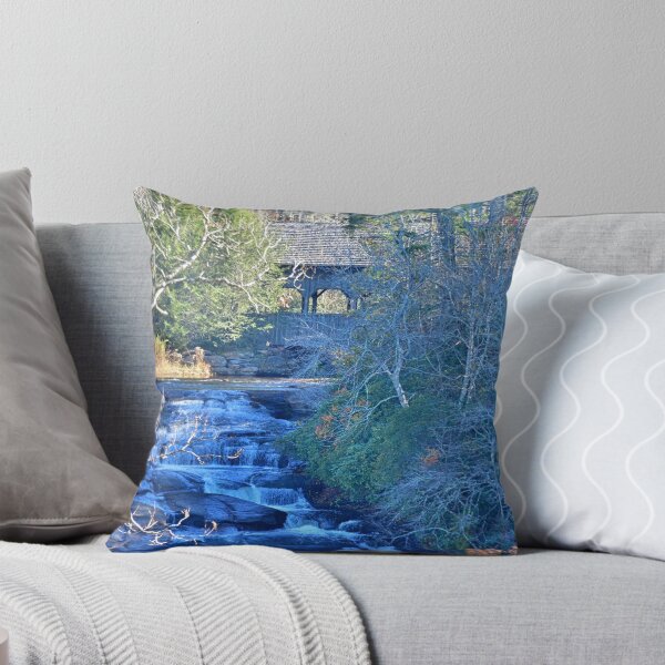 Item preview, High Falls And Covered Bridge Dupont State Forest South Carolina designed and sold by LisaWootenPhoto.