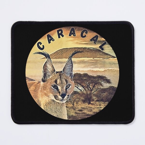 Item preview, Caracal exotic cat designed and sold by umfhn.