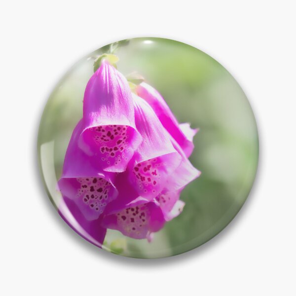 Item preview, Foxgloves - Digitalis designed and sold by Dorset Girl.