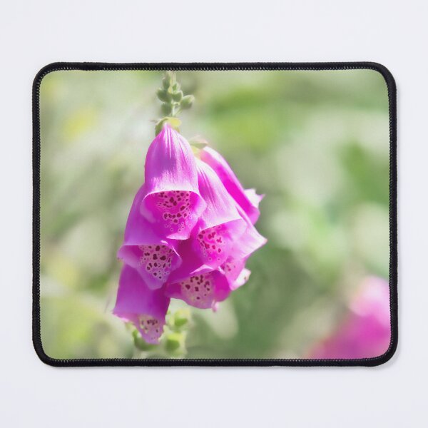 Item preview, Foxgloves - Digitalis designed and sold by Dorset Girl.
